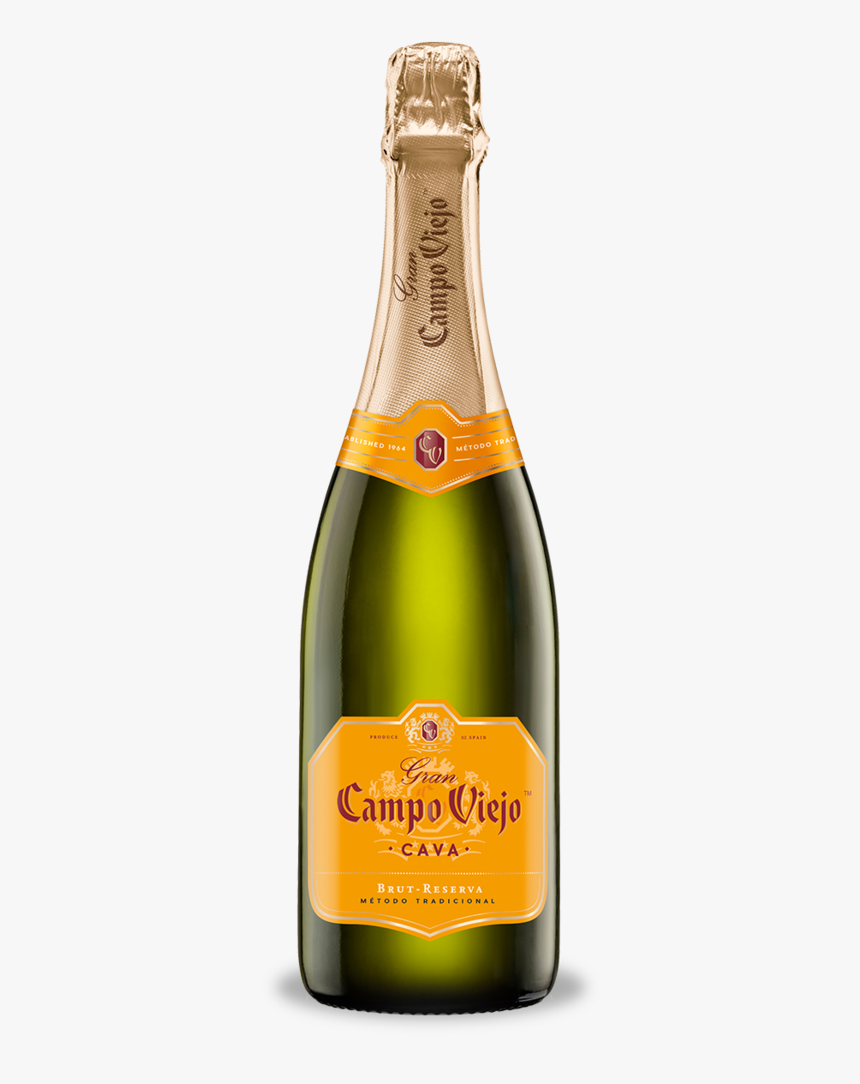 Кава вино. Cava шампанское брют Испания. Игристое вино Campo Viejo Cava Brut reserva 0,75 л. Игристое вино Испания Cava. Игристое вино кава Испания брют.